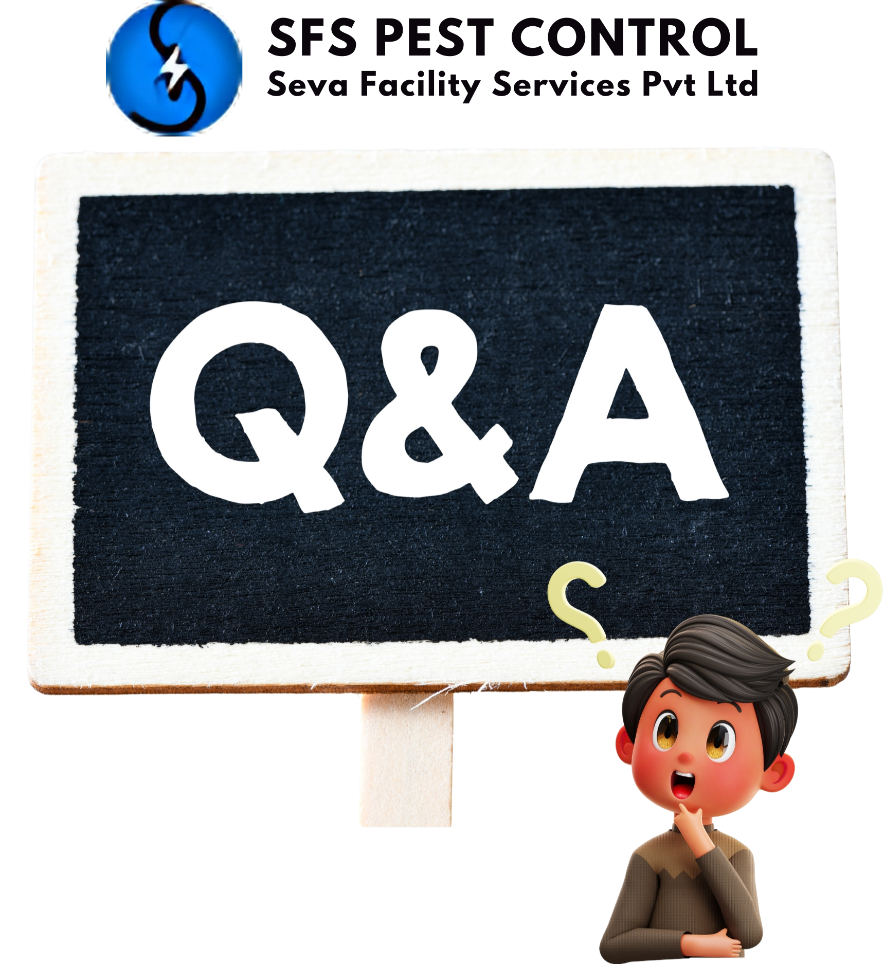 Question and Answer