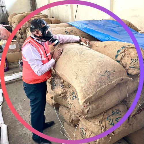 Fumigation services