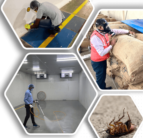 Industrial hygiene and pest control services by SFS Pest Control