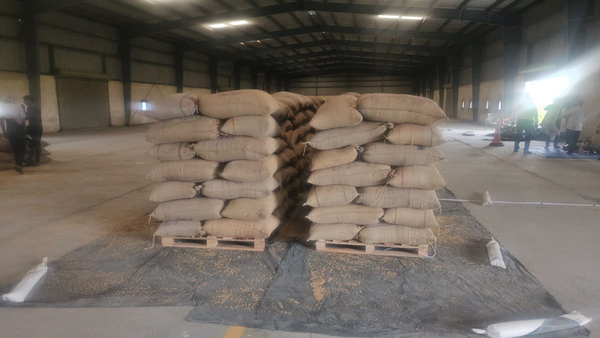 Commodity fumigation in warehouse