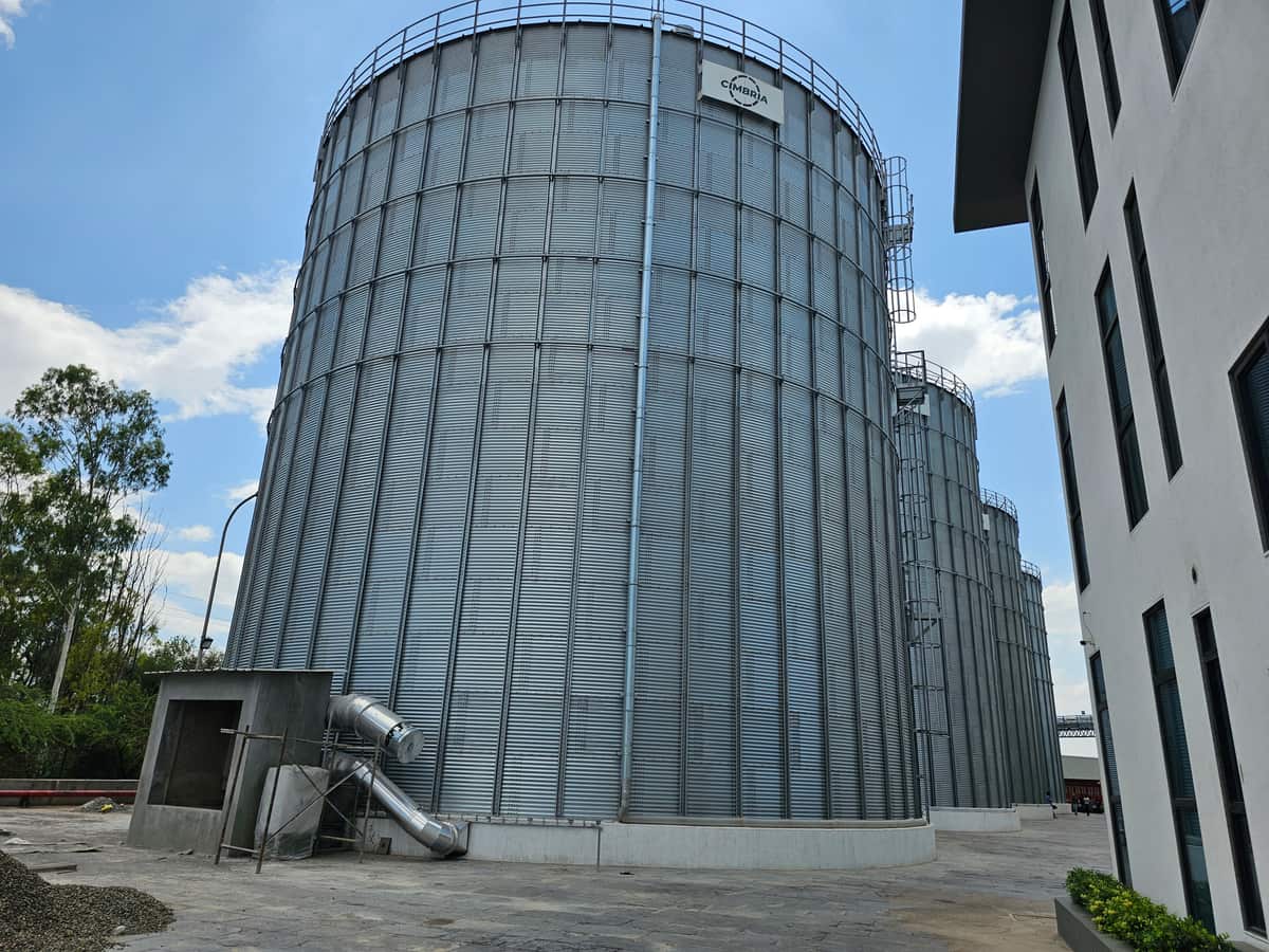 Silo fumigation of grain storage