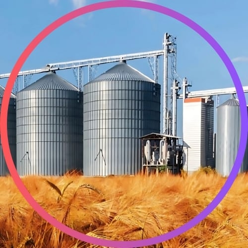Silo fumigation services